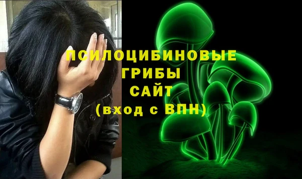 меф Арсеньев